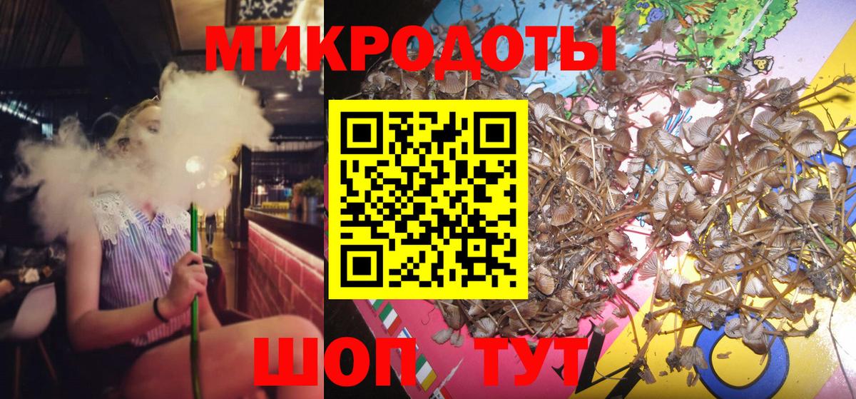 Галлюциногенные грибы мицелий Сафоново