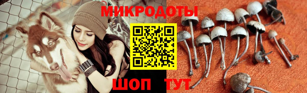 Псилоцибиновые грибы GOLDEN TEACHER  Псилоцибиновые грибы MAGIC MUSHROOMS  Сафоново  Вход с VPN 